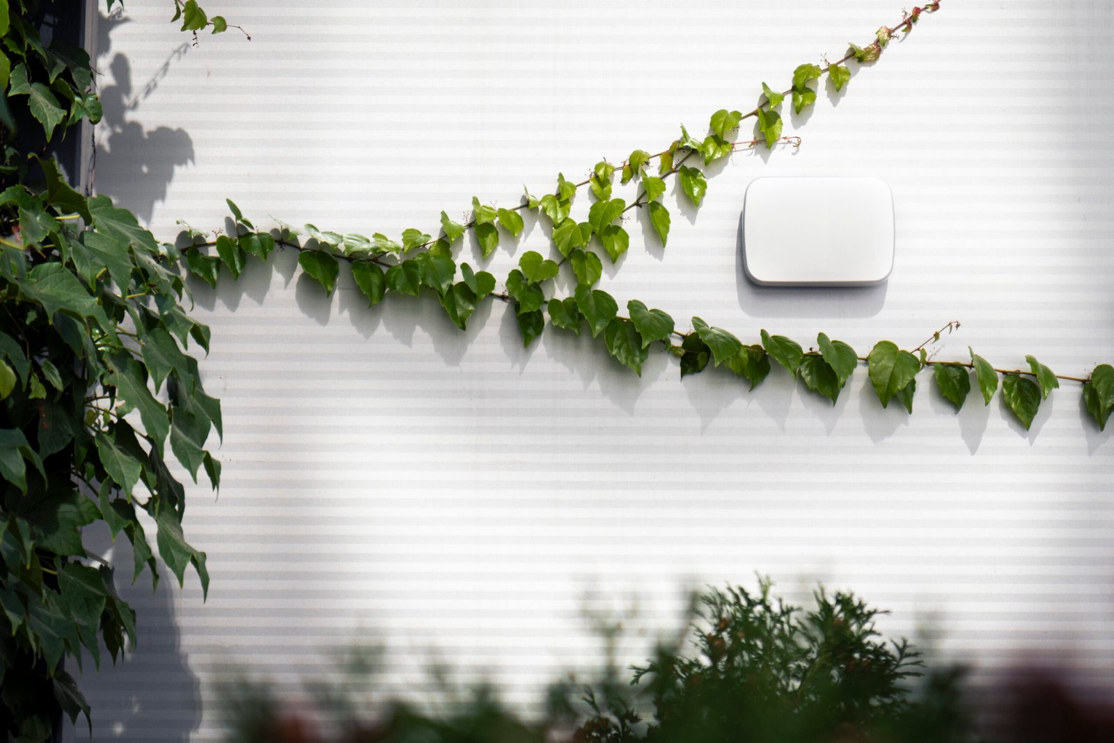 U-Prox Siren Outdoor (MA) – Image 4